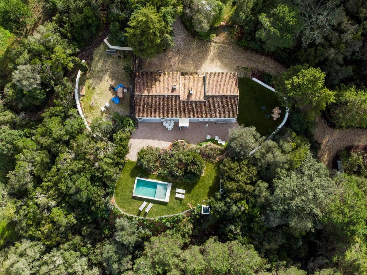 Willa Quinta Da Arrabida Sesimbra Zewnętrze zdjęcie