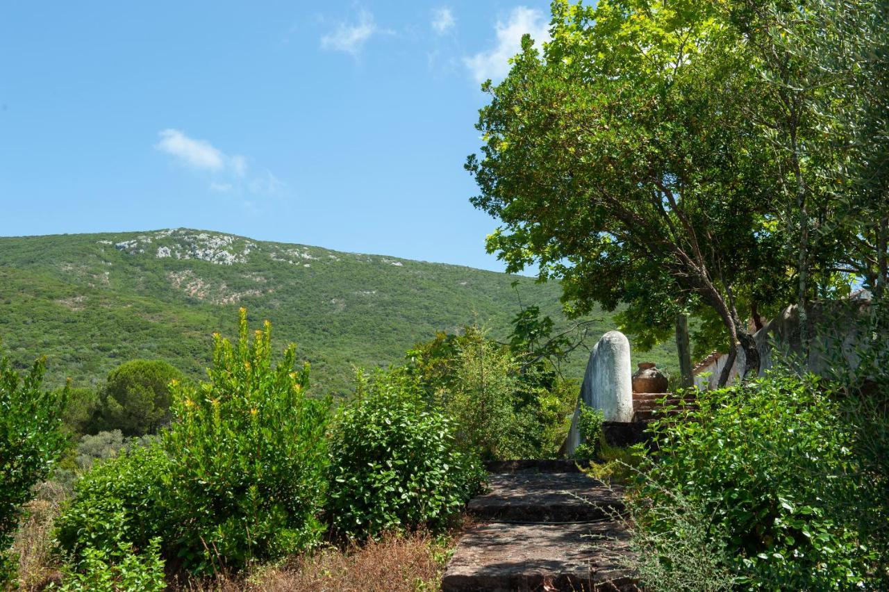 Willa Quinta Da Arrabida Sesimbra Zewnętrze zdjęcie